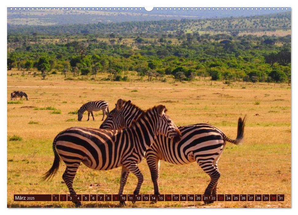 Afrika. Zauber des schwarzen Kontinents (CALVENDO Wandkalender 2025)