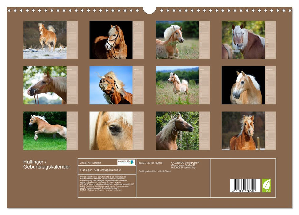 Haflinger / Geburtstagskalender (CALVENDO Wandkalender 2025)