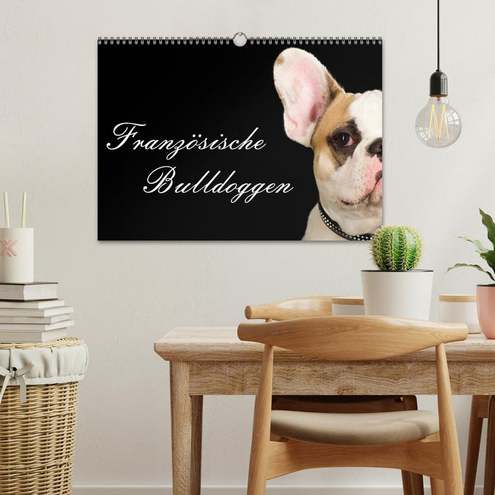 Französische Bulldoggen (CALVENDO Wandkalender 2025)