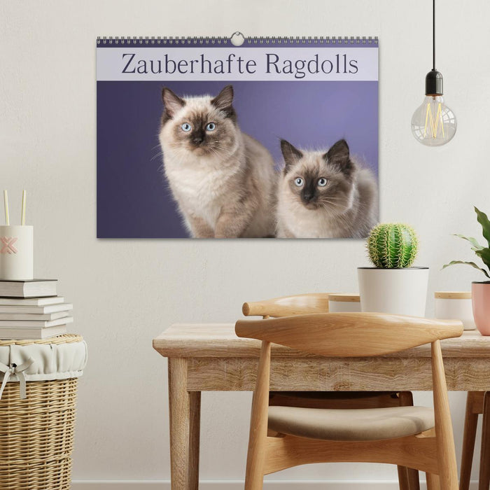 Zauberhafte Ragdolls / Geburtstagskalender (CALVENDO Wandkalender 2025)