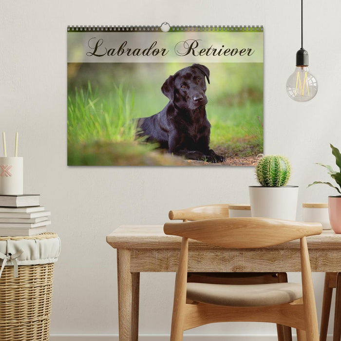 Labrador Retriever (CALVENDO Wandkalender 2025)