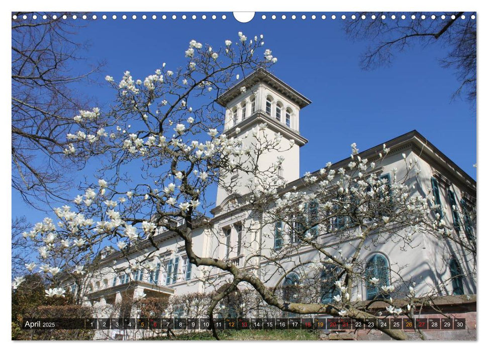 Burgen & Schlösser im Odenwald (CALVENDO Wandkalender 2025)