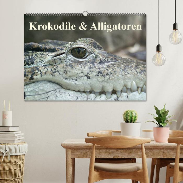 Krokodile & Alligatoren (CALVENDO Wandkalender 2025)