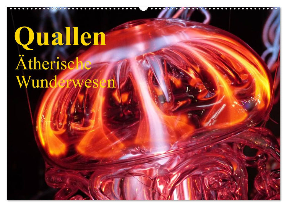 Quallen • Ätherische Wunderwesen (CALVENDO Wandkalender 2025)