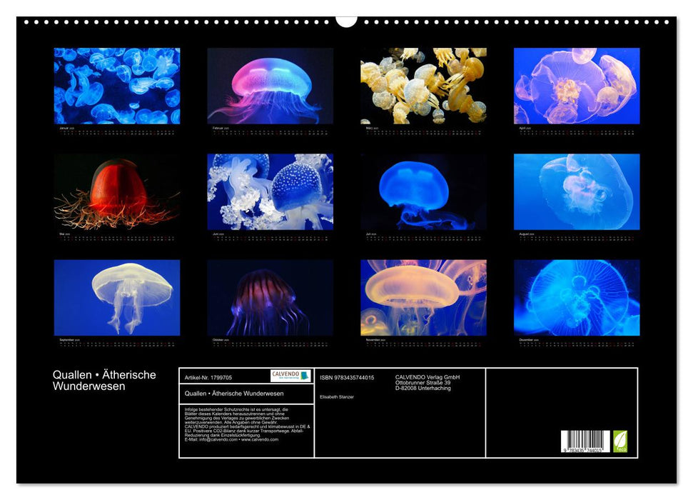 Quallen • Ätherische Wunderwesen (CALVENDO Wandkalender 2025)