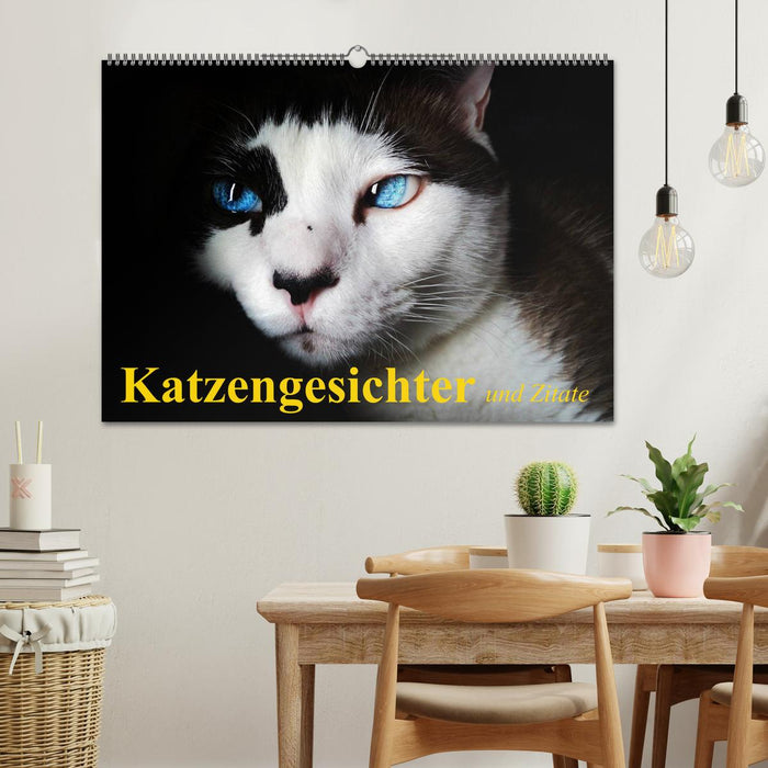 Katzengesichter und Zitate (CALVENDO Wandkalender 2025)