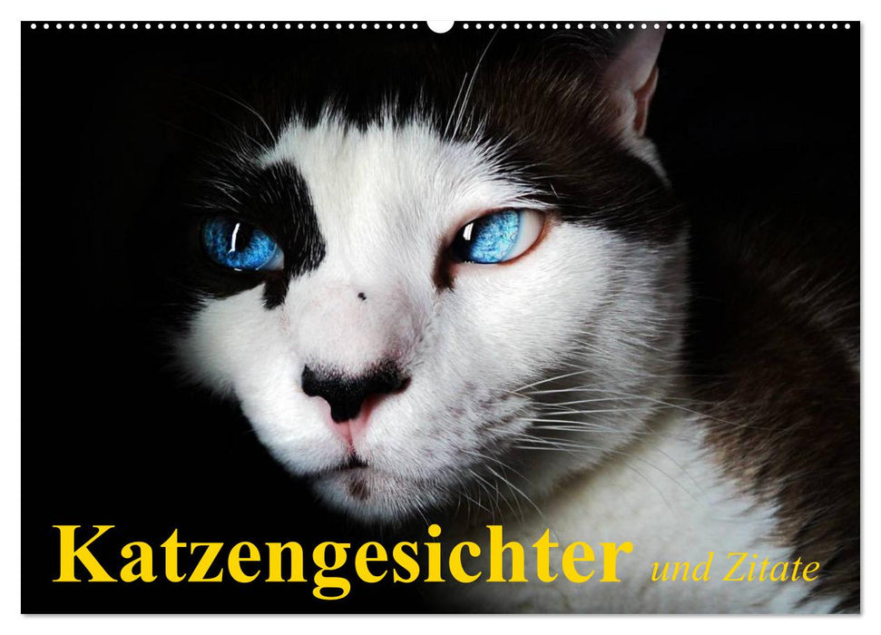 Katzengesichter und Zitate (CALVENDO Wandkalender 2025)