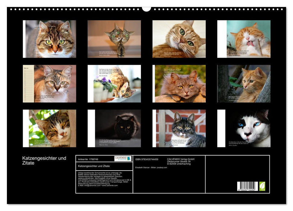 Katzengesichter und Zitate (CALVENDO Wandkalender 2025)