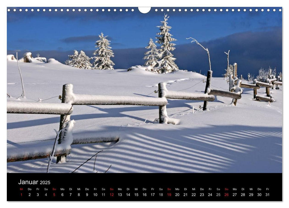 Mein Ortenaukalender 2025 (CALVENDO Wandkalender 2025)