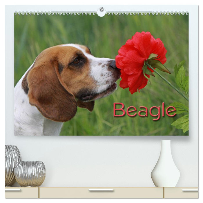 Beagle (CALVENDO Premium Wandkalender 2025)