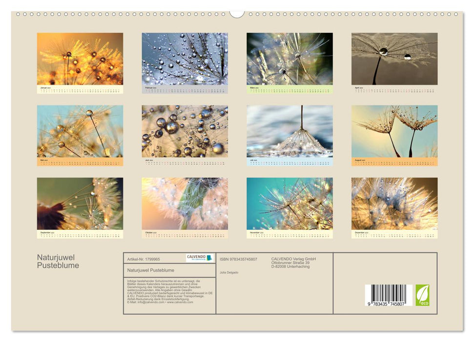 Naturjuwel Pusteblume (CALVENDO Premium Wandkalender 2025)