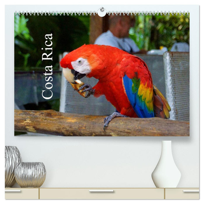 Costa Rica (CALVENDO Premium Wandkalender 2025)