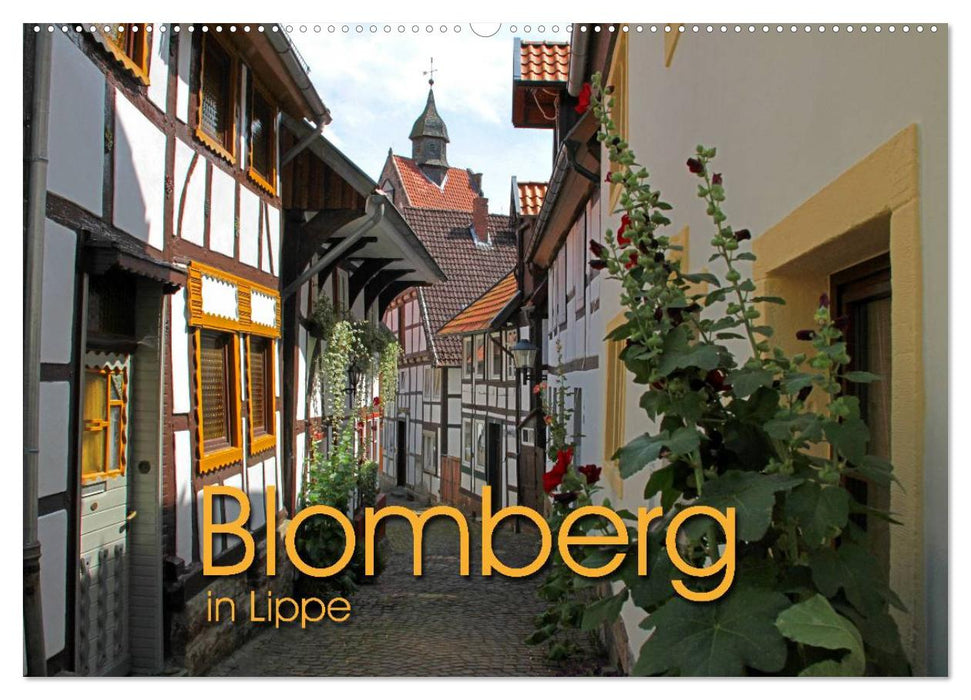 Blomberg in Lippe (CALVENDO Wandkalender 2025)