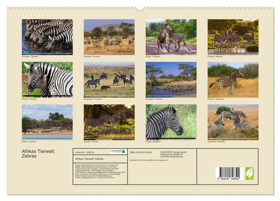 Afrikas Tierwelt: Zebras (CALVENDO Premium Wandkalender 2025)