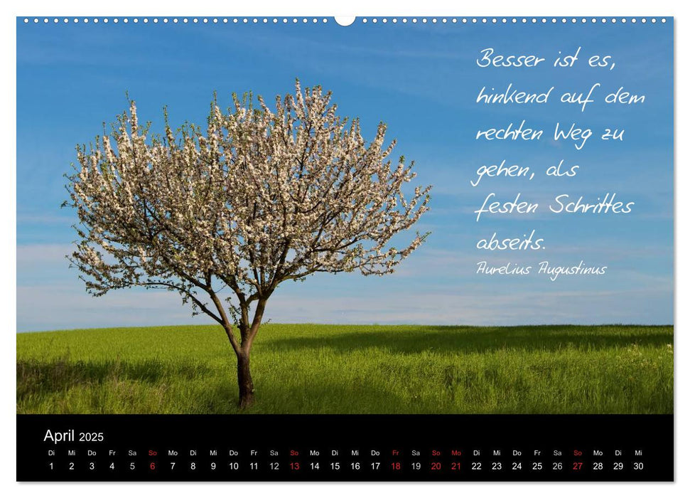 Poetische Wege (CALVENDO Premium Wandkalender 2025)