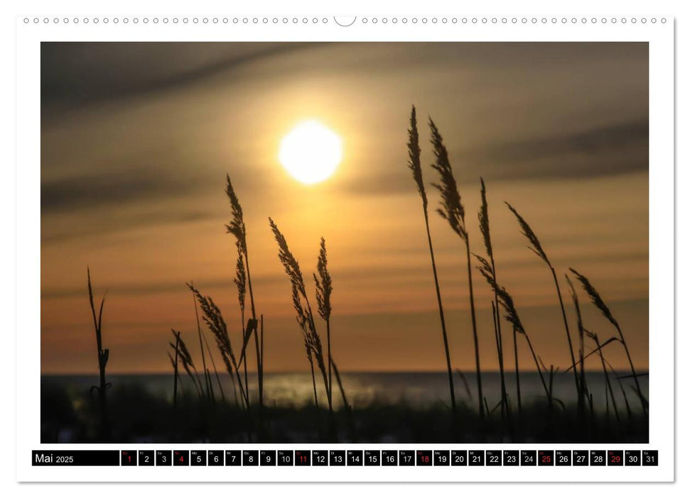 Nordsee & Ostsee (CALVENDO Premium Wandkalender 2025)