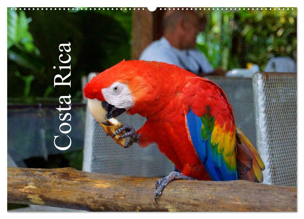 Costa Rica (CALVENDO Wandkalender 2025)