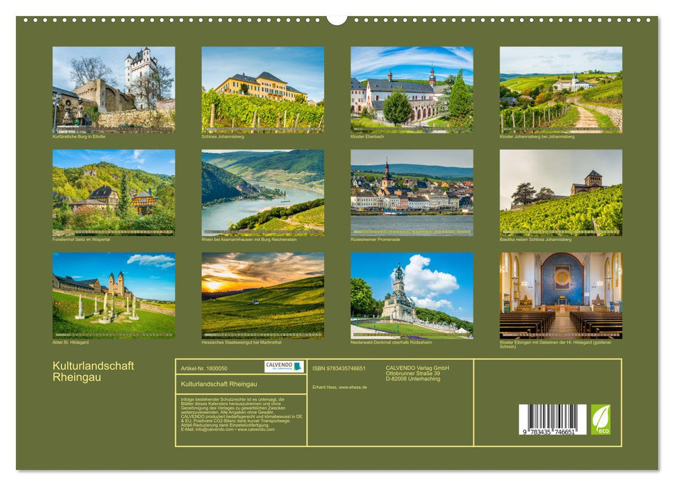 Kulturlandschaft Rheingau (CALVENDO Premium Wandkalender 2025)