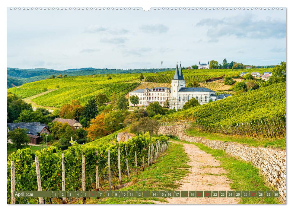 Kulturlandschaft Rheingau (CALVENDO Premium Wandkalender 2025)