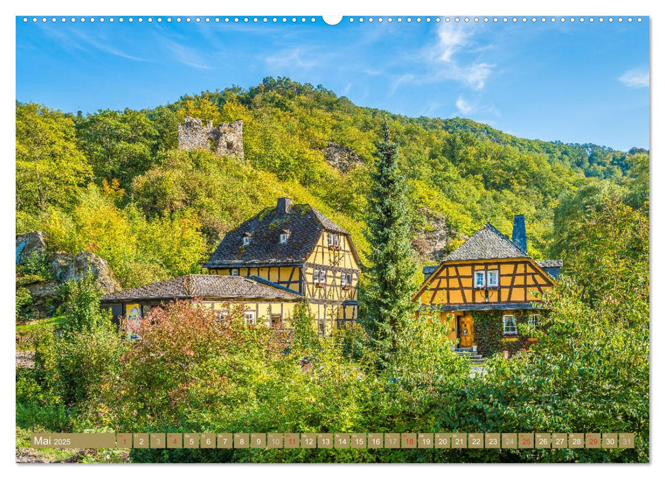 Kulturlandschaft Rheingau (CALVENDO Premium Wandkalender 2025)