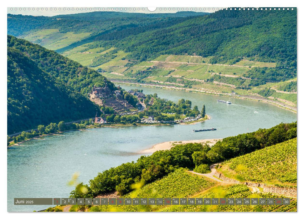 Kulturlandschaft Rheingau (CALVENDO Premium Wandkalender 2025)