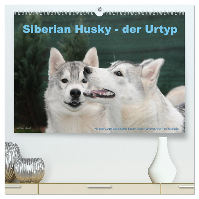 Siberian Husky - der Urtyp (CALVENDO Premium Wandkalender 2025)