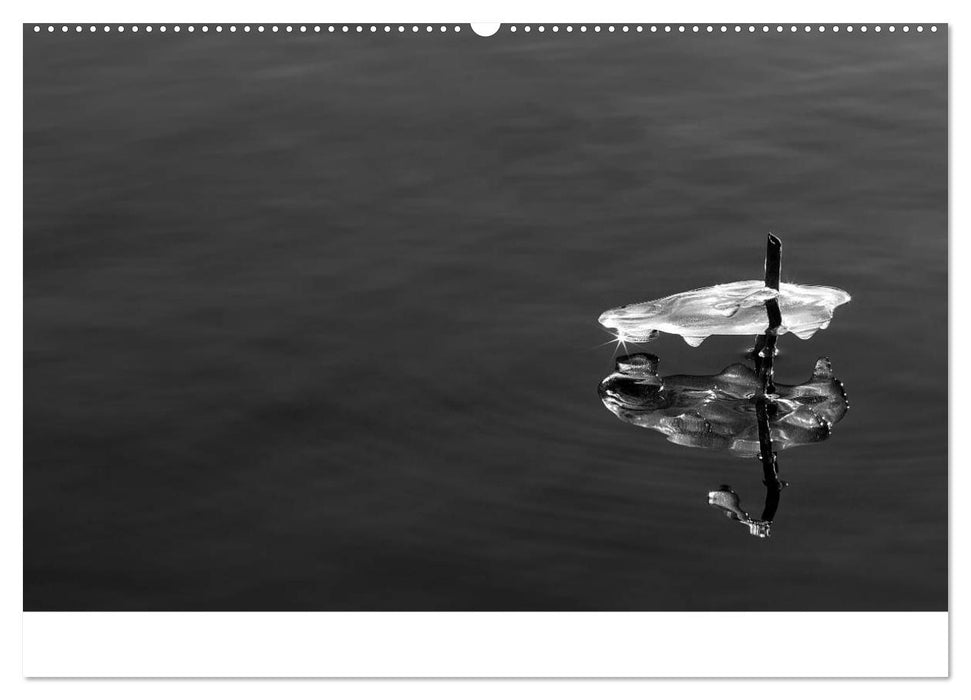 Das Licht in Schwarz und Weiß (CALVENDO Premium Wandkalender 2025)