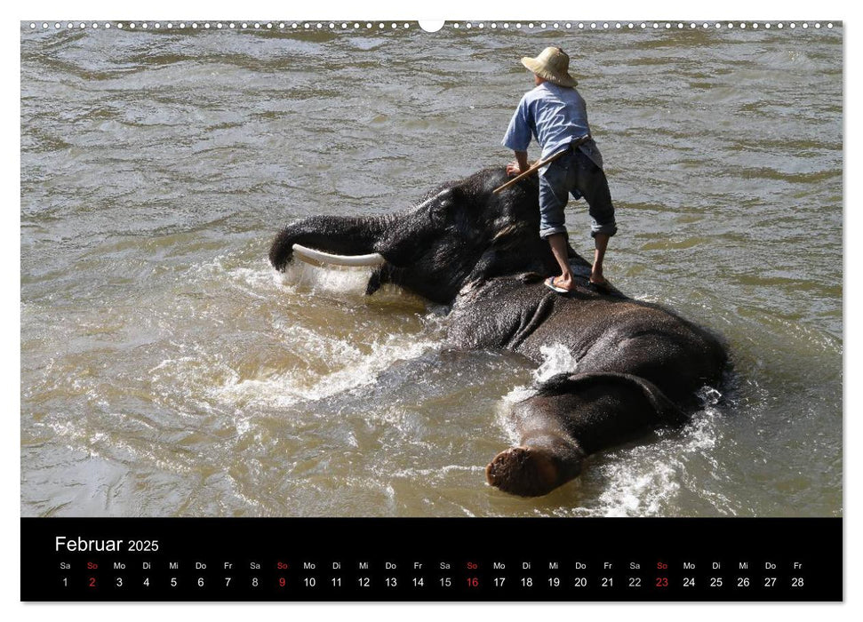 Thailand (CALVENDO Premium Wandkalender 2025)