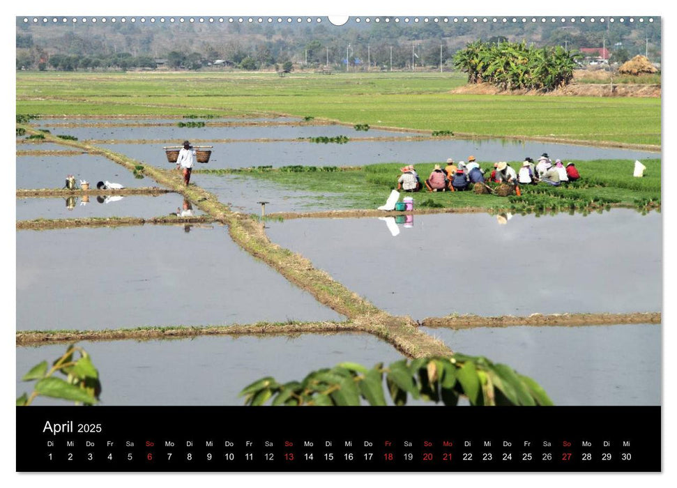 Thailand (CALVENDO Premium Wandkalender 2025)