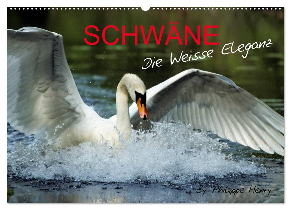 SCHWÄNE. (CALVENDO Wandkalender 2025)