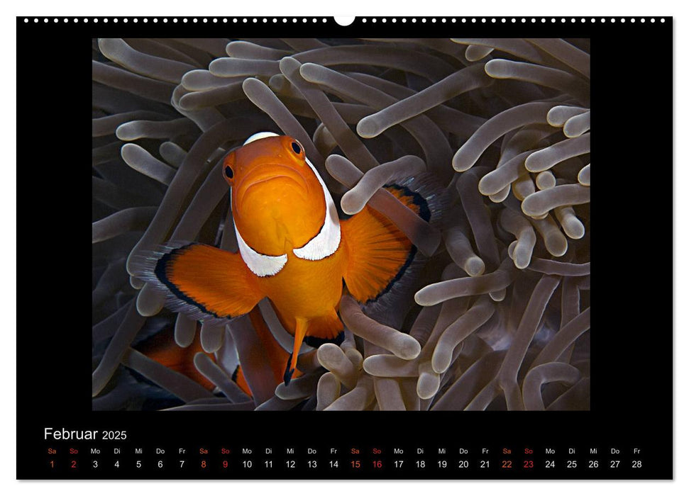 Ocean-Art / CH-Version (CALVENDO Premium Wandkalender 2025)