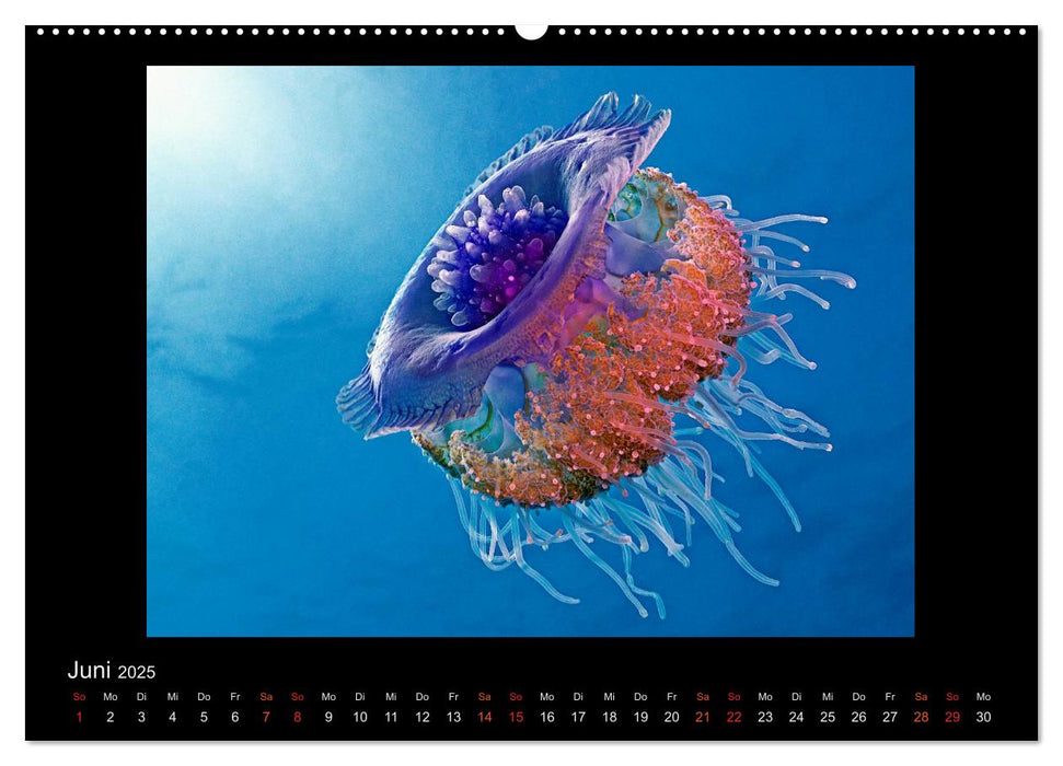 Ocean-Art / CH-Version (CALVENDO Premium Wandkalender 2025)