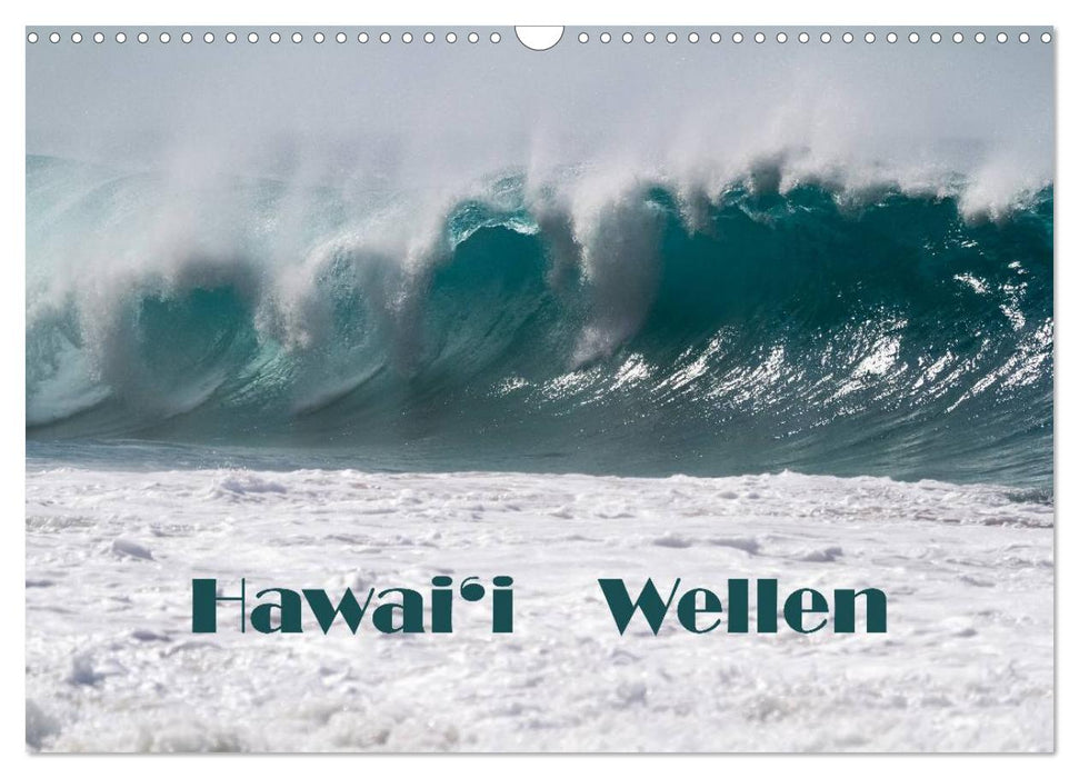 Hawai'i Wellen (CALVENDO Wandkalender 2025)