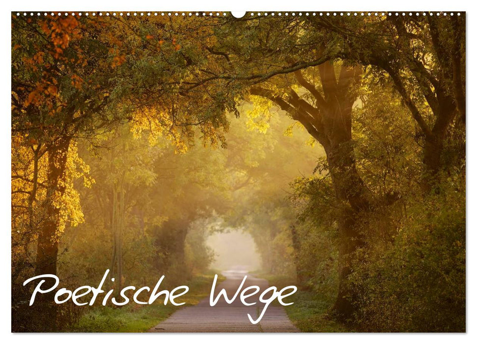 Poetische Wege (CALVENDO Wandkalender 2025)