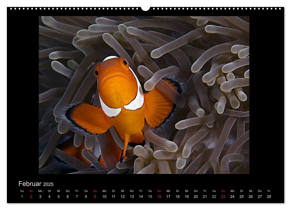 OCEAN - ART (CALVENDO Premium Wandkalender 2025)