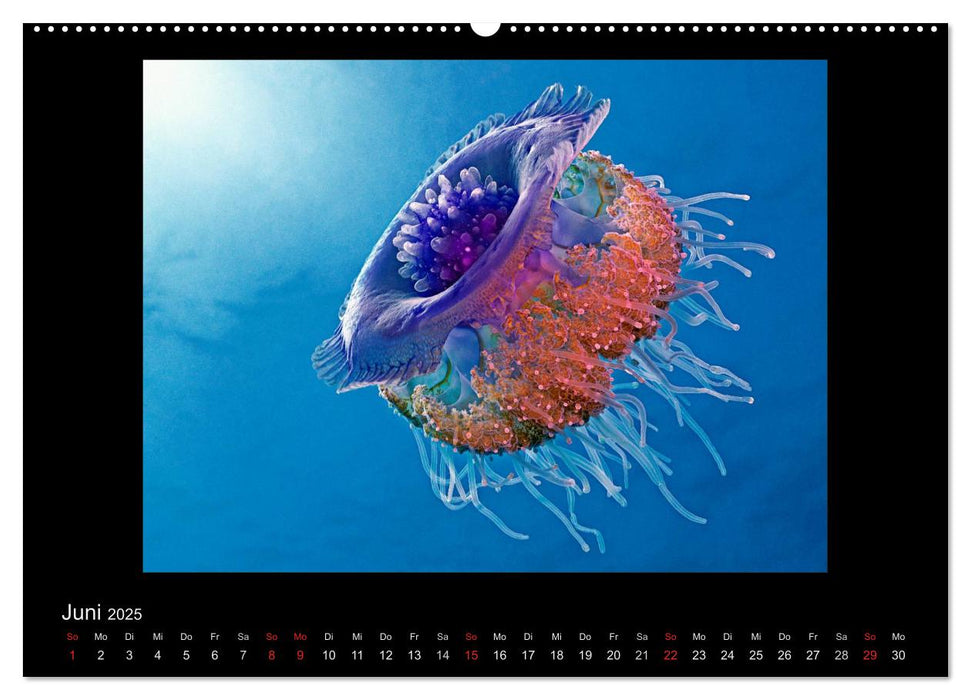 OCEAN - ART (CALVENDO Premium Wandkalender 2025)