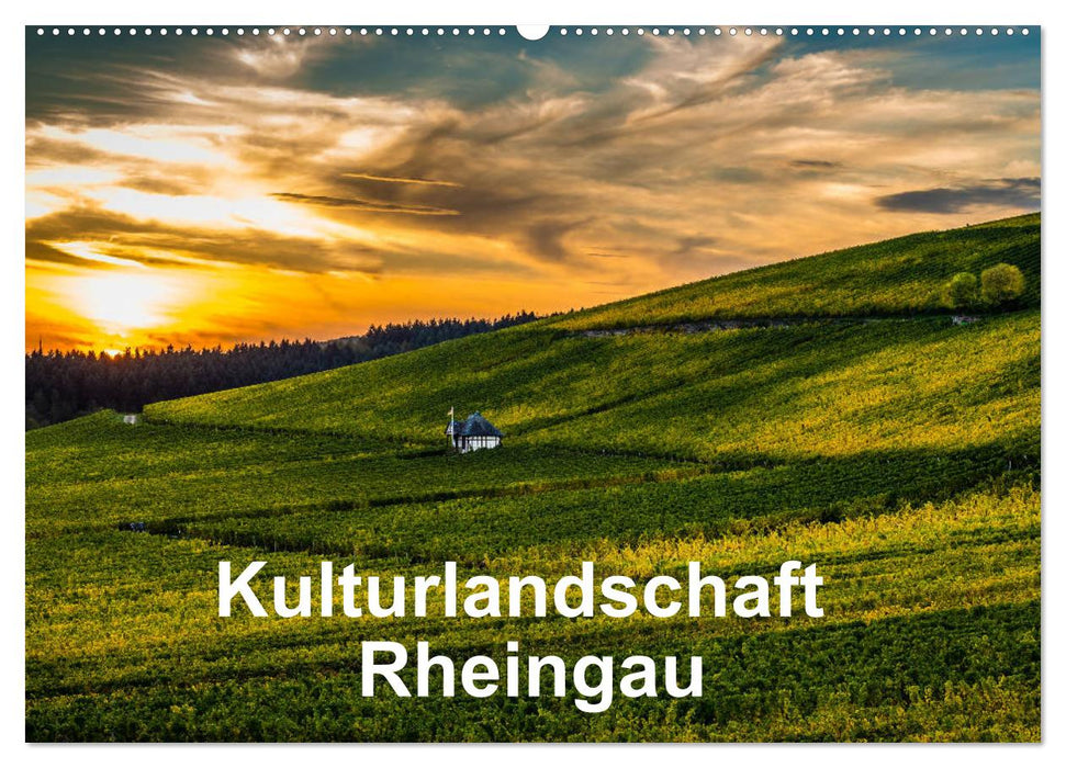 Kulturlandschaft Rheingau (CALVENDO Wandkalender 2025)