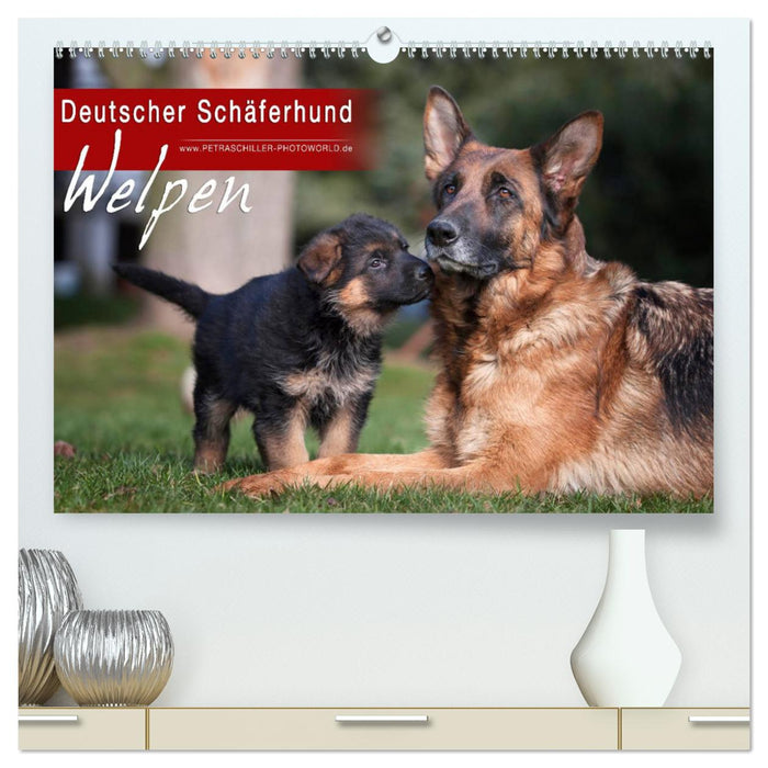 Deutscher Schäferhund - Welpen (CALVENDO Premium Wandkalender 2025)