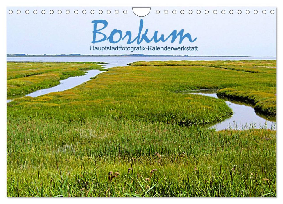 Borkum (CALVENDO Wandkalender 2025)