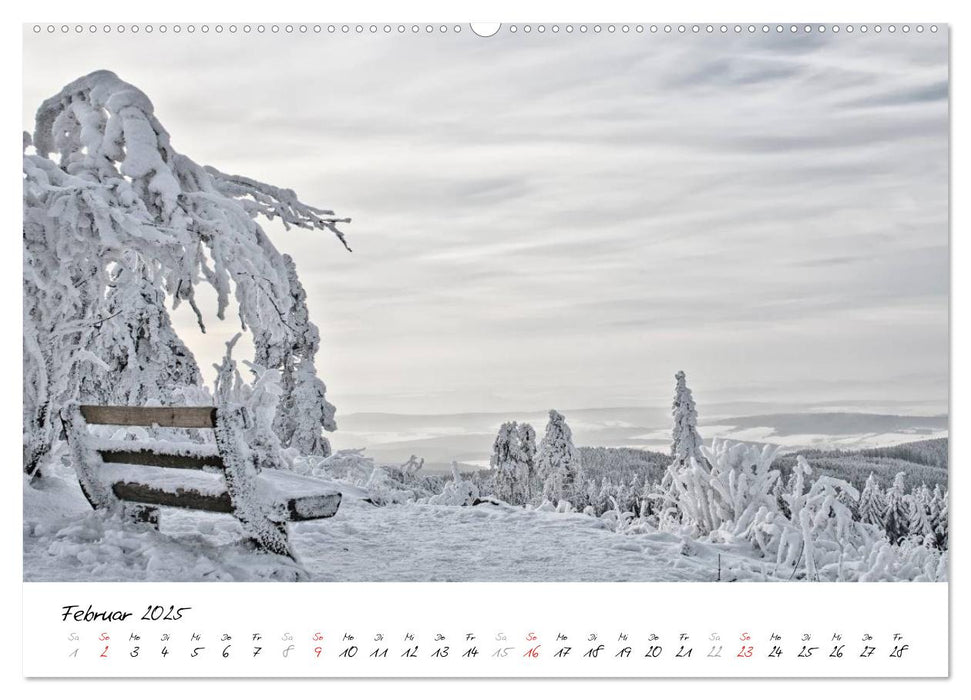 Taunus - Träume (CALVENDO Premium Wandkalender 2025)