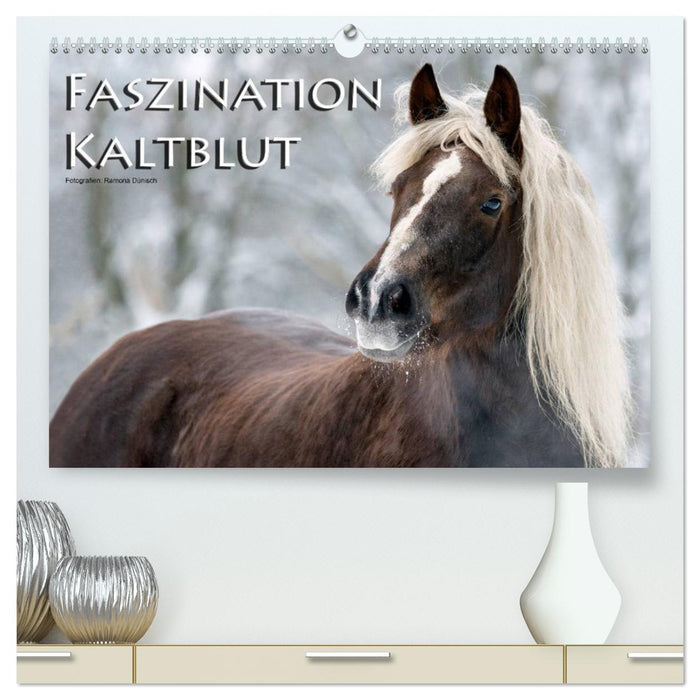 Faszination Kaltblut (CALVENDO Premium Wandkalender 2025)