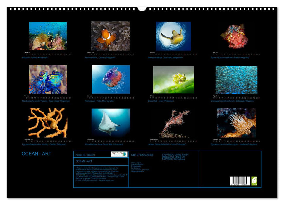 OCEAN - ART (CALVENDO Wandkalender 2025)