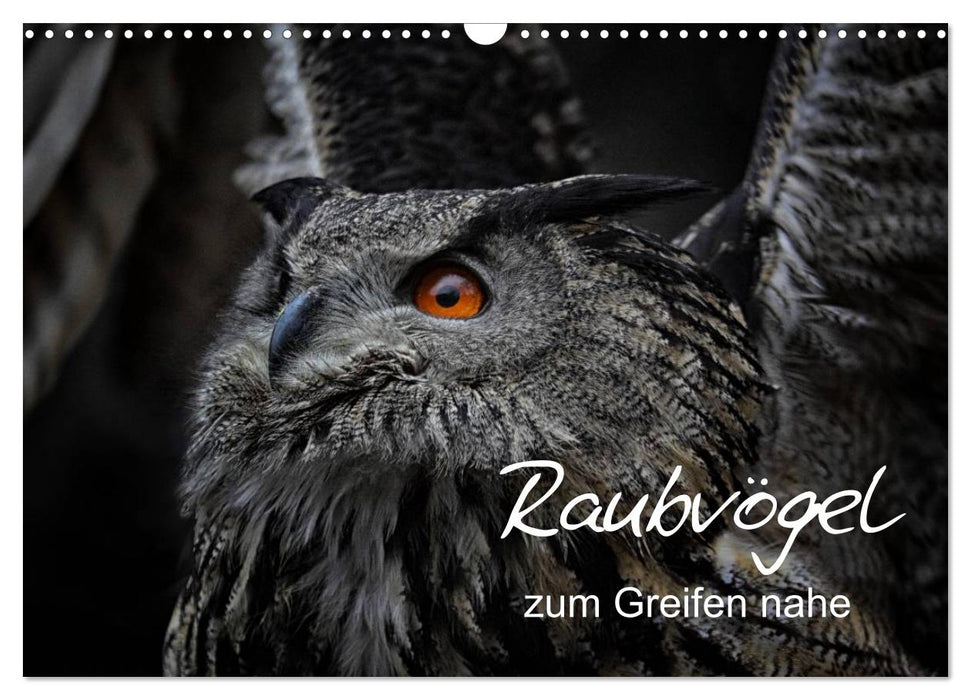 Raubvögel zum Greifen nahe (CALVENDO Wandkalender 2025)