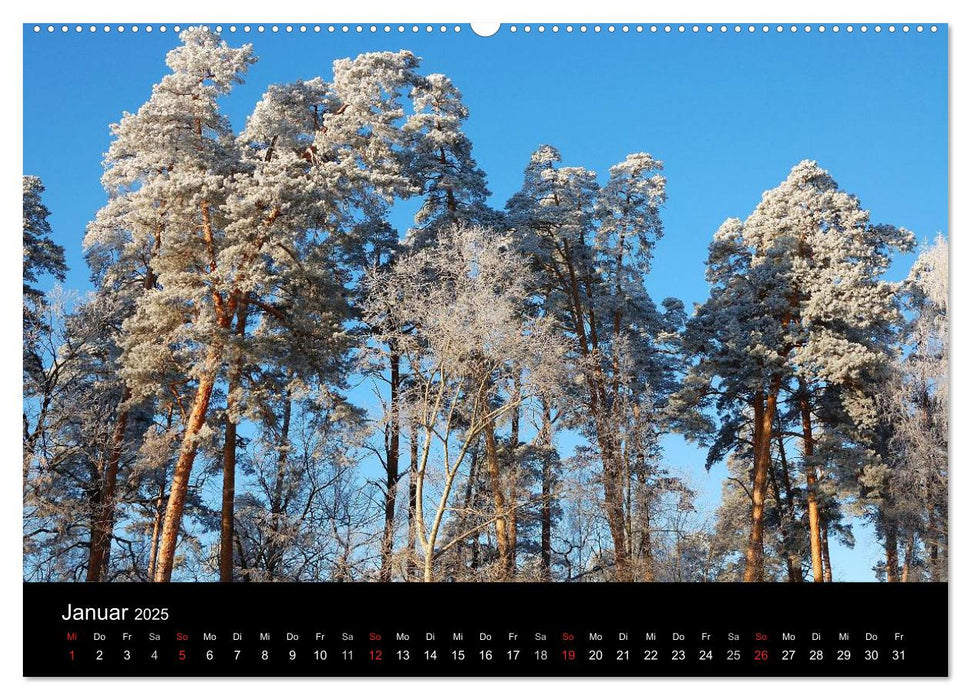 Jahreszeiten / 2025 (CALVENDO Wandkalender 2025)