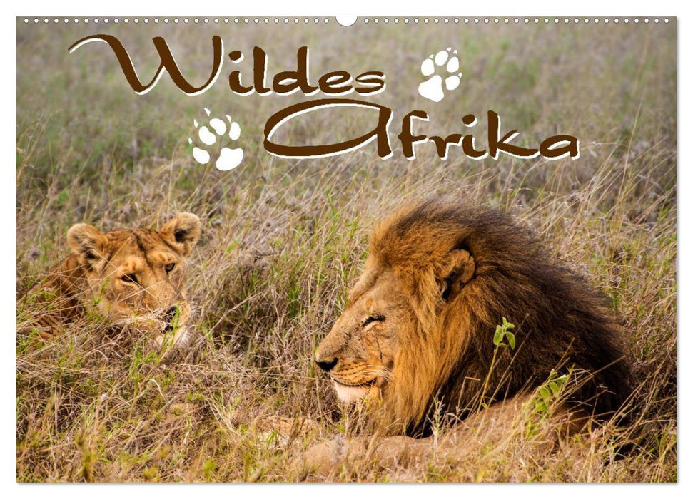 Wildes Afrika (CALVENDO Wandkalender 2025)