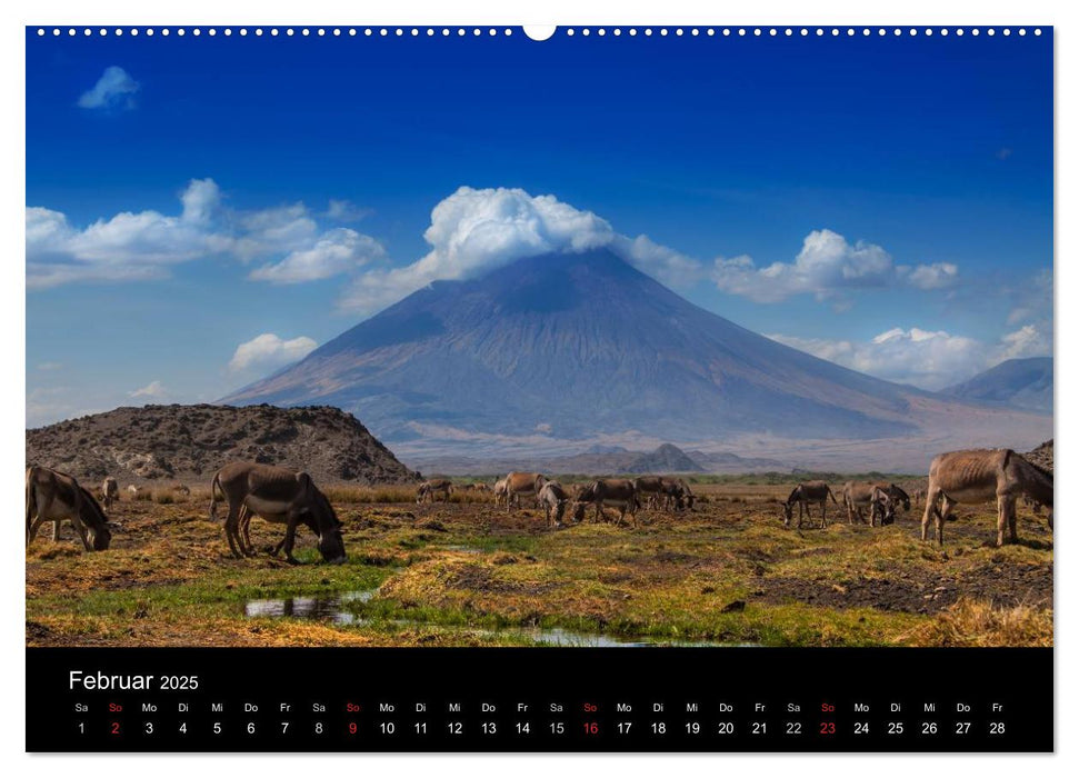 Wildes Afrika (CALVENDO Wandkalender 2025)