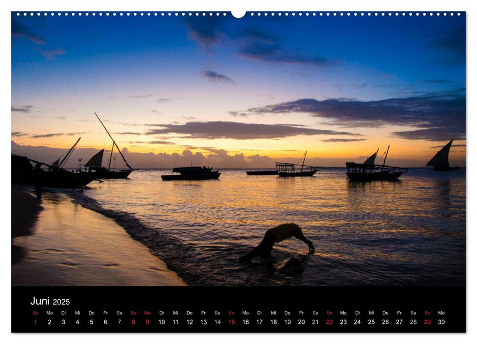 Wildes Afrika (CALVENDO Wandkalender 2025)