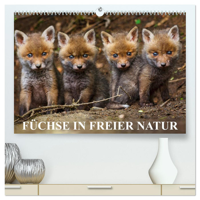 Füchse in freier Natur (CALVENDO Premium Wandkalender 2025)