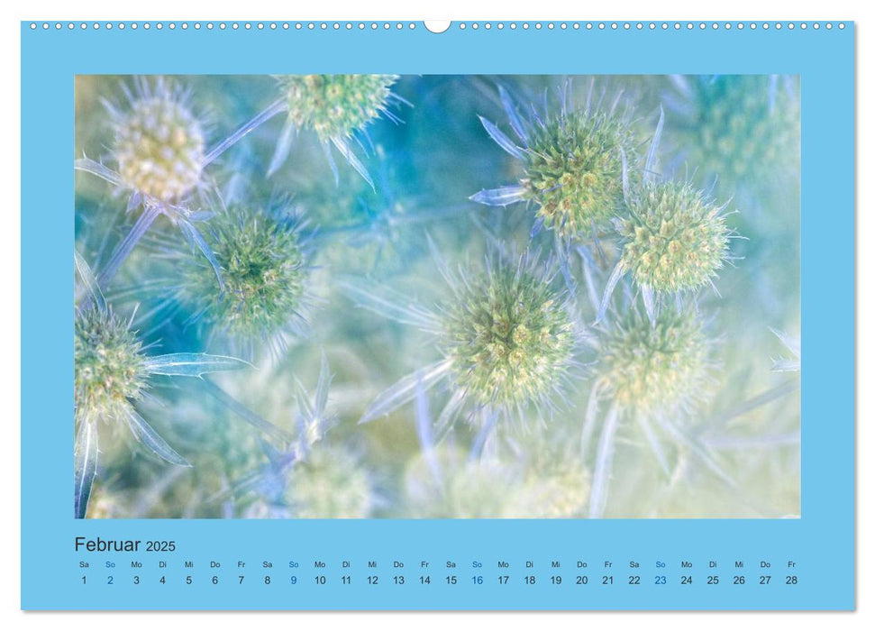 12 Farben (CALVENDO Premium Wandkalender 2025)