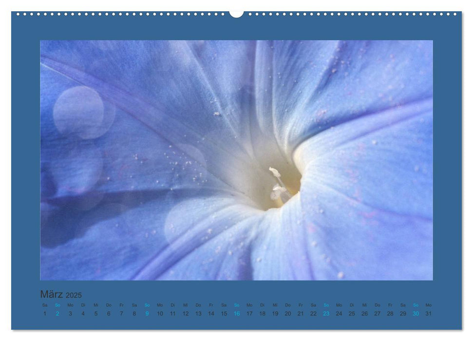 12 Farben (CALVENDO Premium Wandkalender 2025)